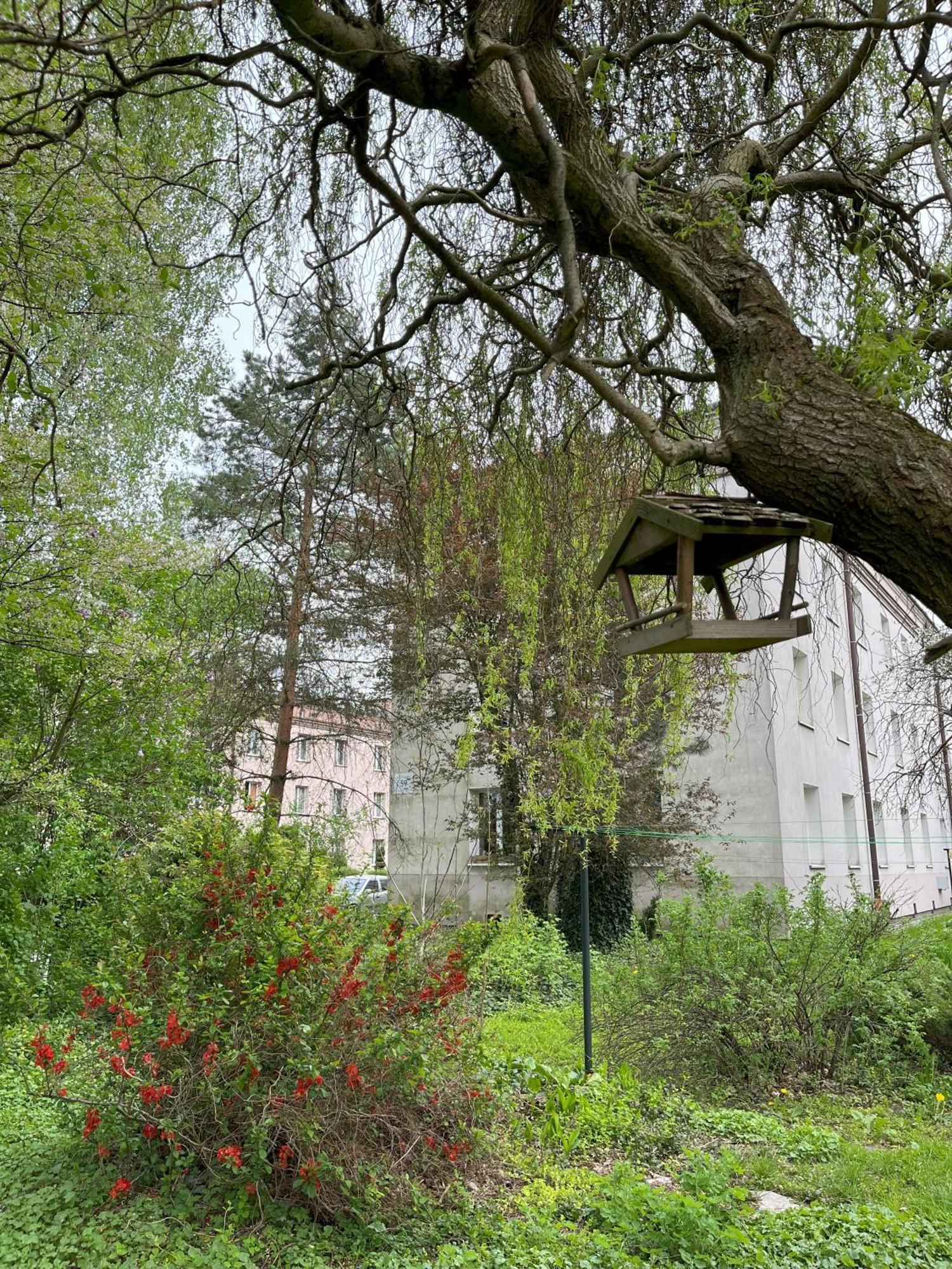 Greenthumb Praska Appartement