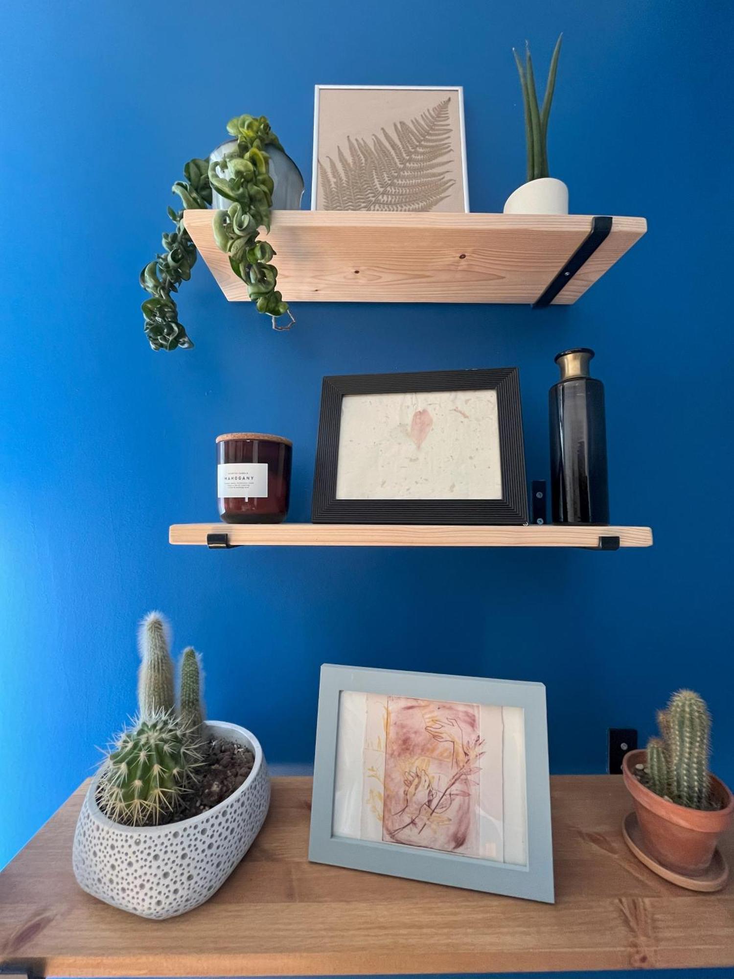 Appartement Greenthumb Praska