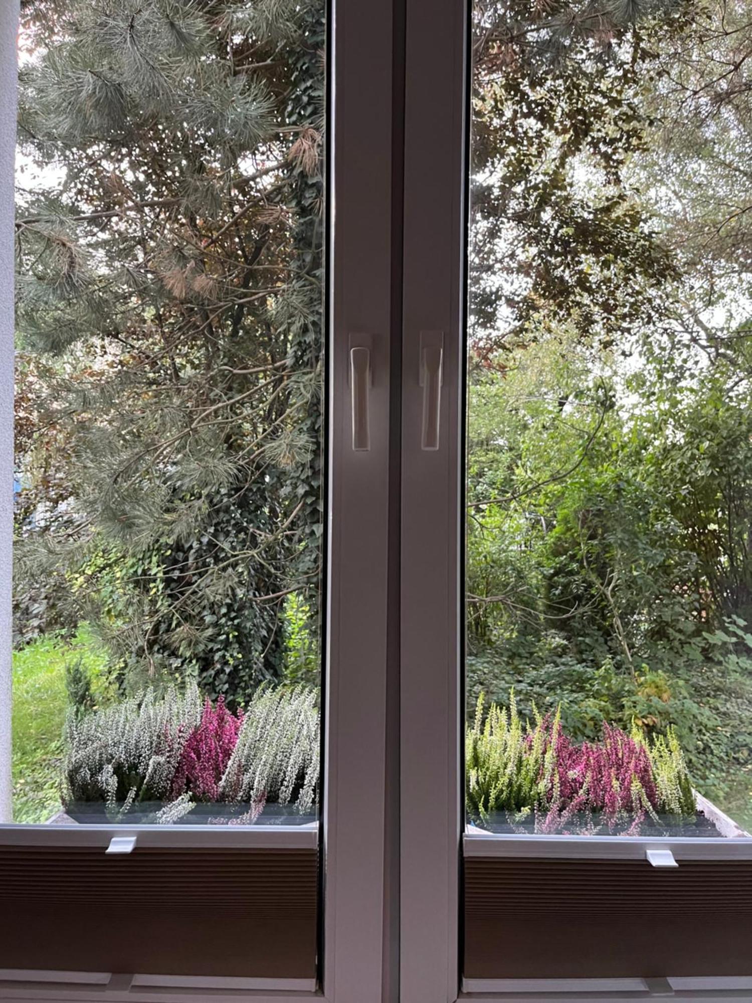 Appartement Greenthumb Praska