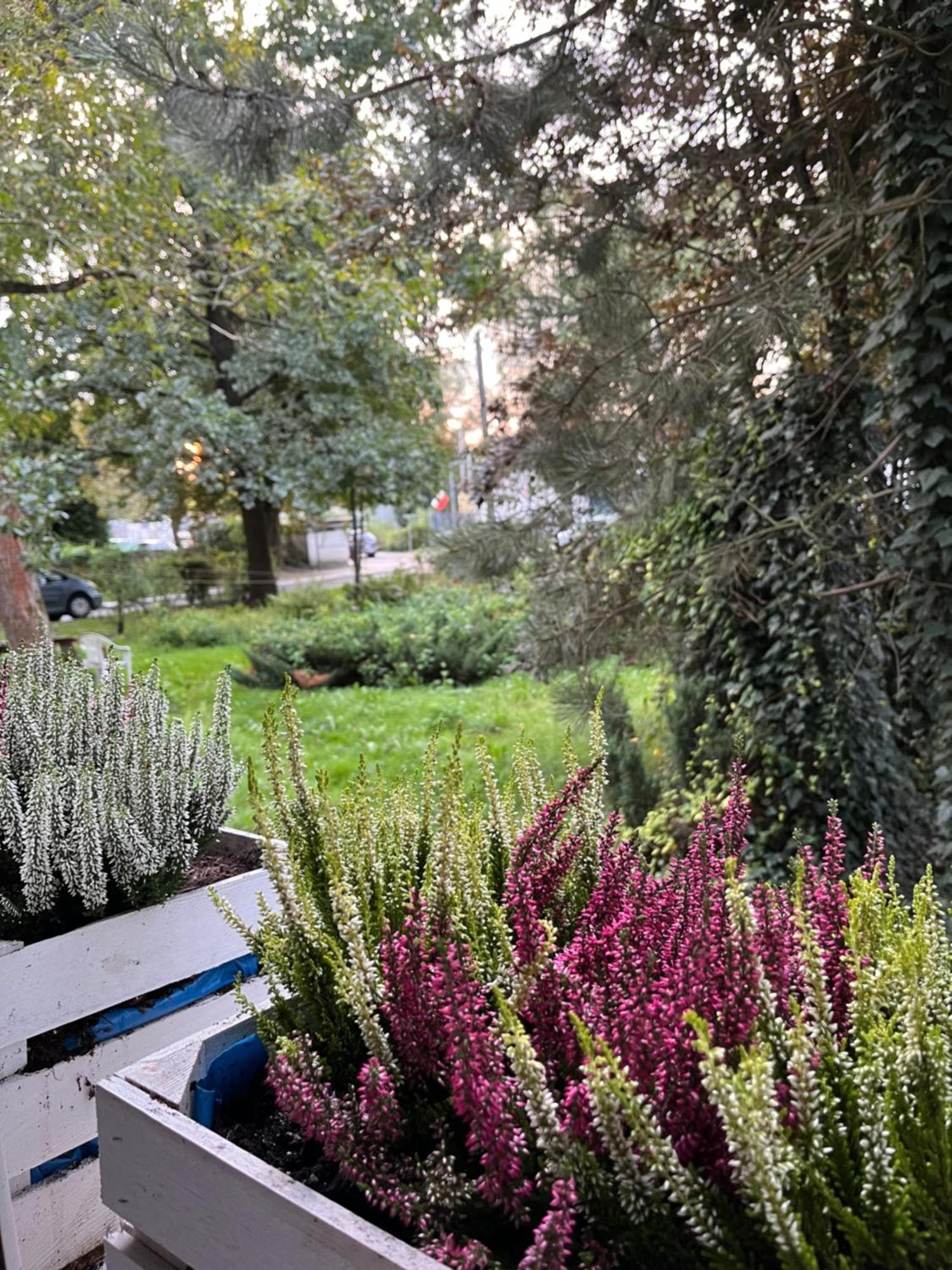 Appartement Greenthumb Praska Krakau